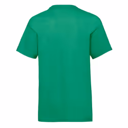 Childrens Valueweight T-Shirt - Kelly Green, 05-Jun
