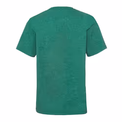 Childrens Valueweight T-Shirt - Retro Heather Green, 05-Jun