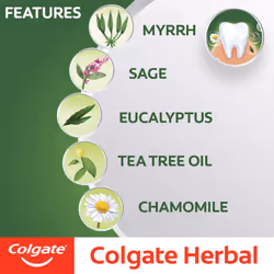 Colgate Herbal Toothpaste 7 oz