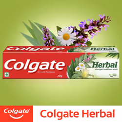Colgate Herbal Toothpaste 7 oz