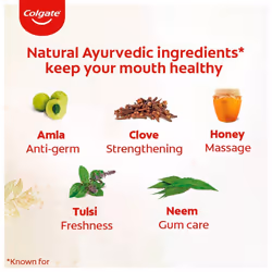 Colgate Swarna Vedshakti Ayurvedic Toothpaste, Anti-Bacterial Paste for Whole Mouth Health, With Neem, Clove, and Honey, 500g, (200g X 2 and 100g X 1)