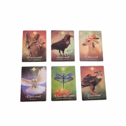 Animal Oracle Cards English Version Fortune-telling Card Spirit Divination
