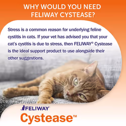 Feliway Cystease, for stress-related bladder problems in cats - 300 Capsules & Classic 30 day Refill x3 Value Pack Classic comforts cats, helps solve