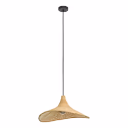 EGLO 43869 ceiling lighting E27 40 W