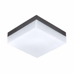 EGLO SONELLA, Outdoor wall/ceiling lighting, Anthracite, Plastic, IP44, I, White
