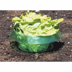 Windhager 02435 plant protection cover Green