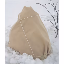Windhager 06721 plant protection cover Beige 30 g/m²