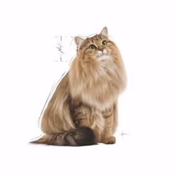 Royal Canin 9003579000366 cats moist food 85 g - Additional view 3