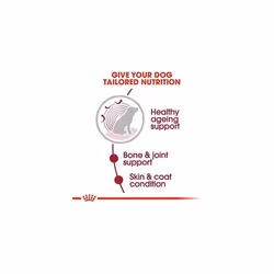 Royal Canin 4713 dogs moist food Senior 1.4 kg