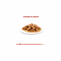 Royal Canin 4713 dogs moist food Senior 1.4 kg