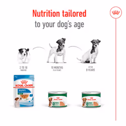 Royal Canin Mini Adult Meat 195 g - Additional view 5