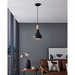 EGLO 900161 ceiling lighting E27 40 W