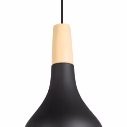EGLO 900161 ceiling lighting E27 40 W