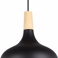 EGLO 900162 ceiling lighting E27 40 W