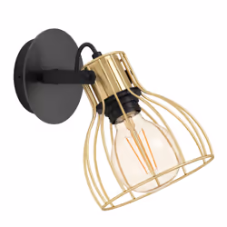 EGLO 900382, Other, 1 bulb(s), E27, IP20, Black, Brass