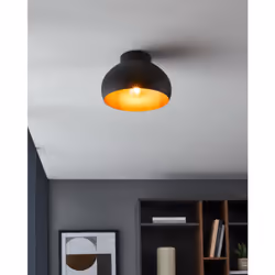 EGLO 900555 ceiling lighting E27 40 W