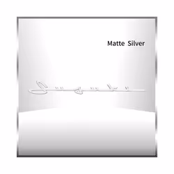 3D ABS Plastic Chrome Silver/Black Letter Logo Car Fender Side Emblem - 1
