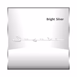 3D ABS Plastic Chrome Silver/Black Letter Logo Car Fender Side Emblem - 2