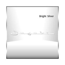 3D ABS Plastic Chrome Silver/Black Letter Logo Car Fender Side Emblem - 2