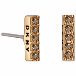 DKNY 5520081 Ladies Earrings
