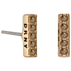DKNY 5520081 Ladies Earrings
