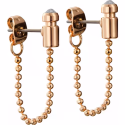 DKNY 5520088 Ladies Earrings