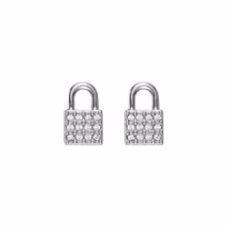 DKNY 5520119 Ladies Earrings