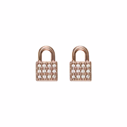 DKNY 5520121 Ladies Earrings
