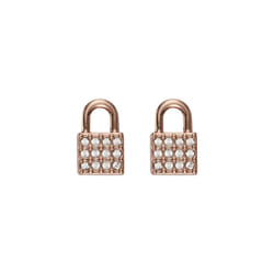 DKNY 5520121 Ladies Earrings