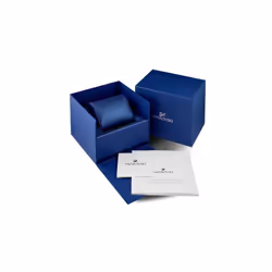 Swarovski 5547642 Women's Watch