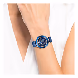 Swarovski 5563480 Women's Watch