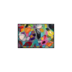 Reodiva Doormat 50 x 75 cm Colourful Inside and Outdoor Washable