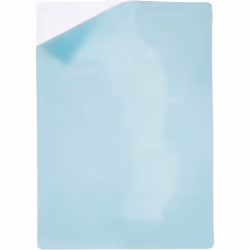 Fellowes 5328901ÃÂ 53289ÃÂ Capture Self-Adhesive Laminating Film A4ÃÂ 125ÃÂ Microns Pack of 100ÃÂ Transparent