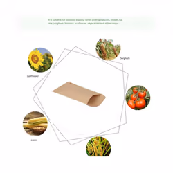 100Pcs Brown Kraft Seed Bag Breeding Bag Is Used to Seeds, , Coins, Jewelry, Etc.