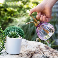 Plastic Watering Can Color Pumpkin Watering Device Retro Watering Can Watering Watering Can