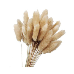 50Pcs Natural Raw Color Dried Flowers Real Flower Bouquet Wedding Decoration Rabbit Tail Grass Bunchs