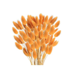 60Pcs Fall Dried Flowers Bunny Dried Flowers Lagurus Ovatus Rabbit Tail Grass for Dried Floral