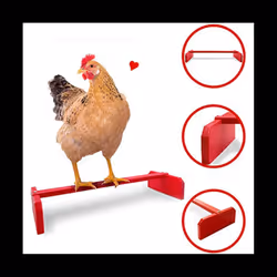 Chicken Roosting Bar Perch for Baby Chicken To Adult Birds. Poultry Coops or Run. Easy-Clean Bird Stand for Chickens