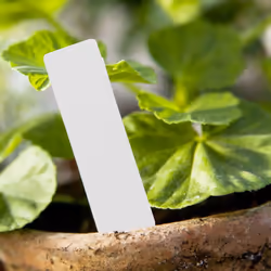 500 Pcs Reusable Pvc Plant Tag Label Tree Fruit Seedling Garden Flowerpot Plastic Label Sign Sorting Tool