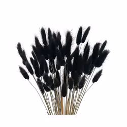 60Pcs Fall Dried Flowers Bunny Dried Flowers Lagurus Ovatus Rabbit Tail Grass for Dried Floral
