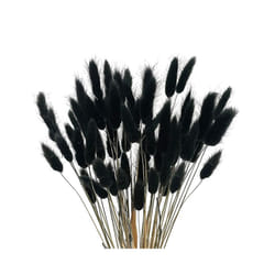 60Pcs Fall Dried Flowers Bunny Dried Flowers Lagurus Ovatus Rabbit Tail Grass for Dried Floral