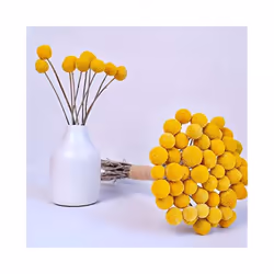 Natural Dried Flower Yellow Ball Bouquet Bunch, Real Harvested Dried Plant Bunch, Decoration Crafts