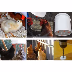 50Pcs Poultry Chicken Nipple Drinker Spring Type Bird with Automatic Water Dispenser Chicken Mouth Bird Drinking Water