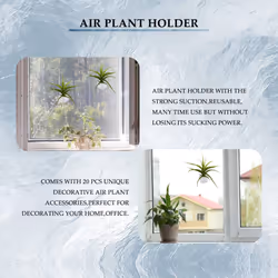 20 Pcs Air Plant Holder, Plant Pot Tillandsia Holder Air Plant Hanger with Suction Cup for Hanging