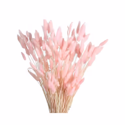 60Pcs Fall Dried Flowers Bunny Dried Flowers Lagurus Ovatus Rabbit Tail Grass for Dried Floral