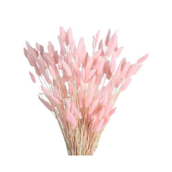 60Pcs Fall Dried Flowers Bunny Dried Flowers Lagurus Ovatus Rabbit Tail Grass for Dried Floral