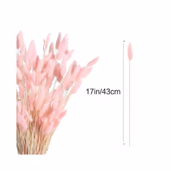 60Pcs Fall Dried Flowers Bunny Dried Flowers Lagurus Ovatus Rabbit Tail Grass for Dried Floral