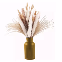 CNNOTEPAD 80Pcs Boho Decor White and Natural Color Pampas Grass,17 Inch Flowers