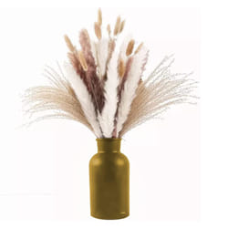 CNNOTEPAD 80Pcs Boho Decor White and Natural Color Pampas Grass,17 Inch Flowers