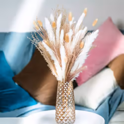 CNNOTEPAD 80Pcs Boho Decor White and Natural Color Pampas Grass,17 Inch Flowers